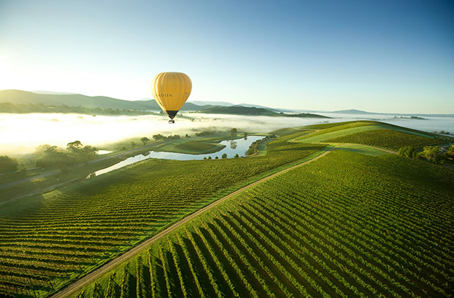 Discover Yarra Valley Winery Region Only One Hour Drive from Melbourne