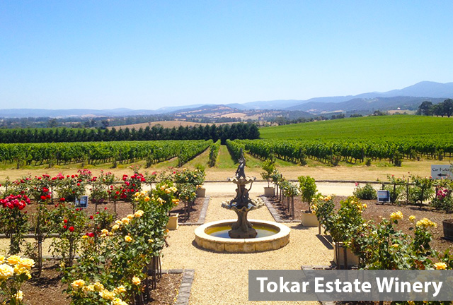 yering station winery hummer yarra valley tours