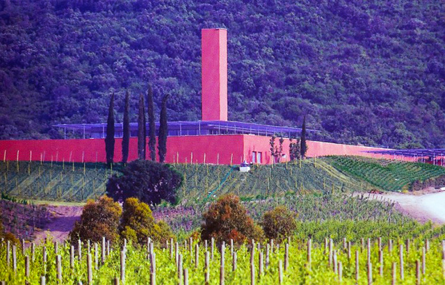 Rocca di Frassinello Vineyard