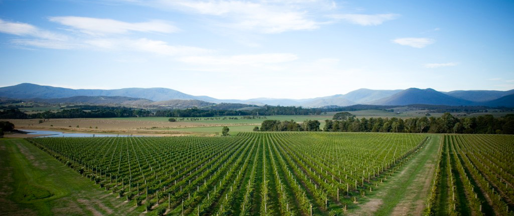 yarra valley limo tour slider